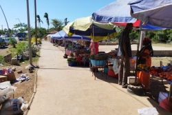 Mayotte face aux défis des pesticides et de l’agriculture durable