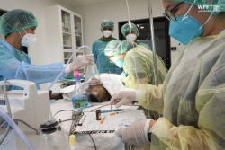 Singes, tigres, éléphants et ours : la vie d'un hôpital pour animaux de Thaïlande