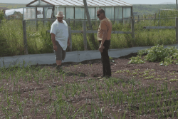 Les potagers des particuliers en souffrance avec les faibles précipitations de juillet