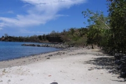 Qualité des eaux de baignade : 89,5 % des sites conformes en Guadeloupe, Saint-Martin et Saint-Barthélemy