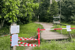 Fermeture du sentier du Bagne des Annamites en Guyane : la mairie mise sur la sécurité