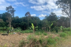 Journée internationale des mangroves : à Apogoti, on surveille l'impact des activités humaines sur les palétuviers