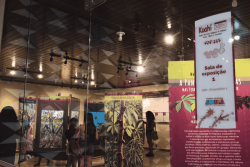 Réouverture du Musée Kuahí, à Oiapoque : un hommage vivant aux peuples autochtones à la frontière de la Guyane