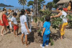 Unesco : les Marquisiens plantent des arbres pour marquer le 1er anniversaire