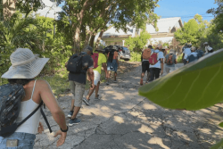 EN IMAGES. À Sainte-Rose, une randonnée retrace les débuts de la colonisation en Guadeloupe