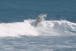 Roxy Vahine Cup : Raipoe Chapelier et les autres filles fracassent