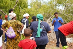 Poroani accueille la 2ᵉ édition du Festival de la mangrove