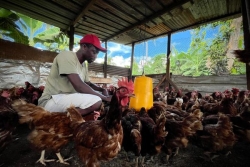 Les agriculteurs mahorais sinistrés par le cyclone Chido vont commencer à toucher l'aide de l'Europe