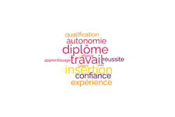 Vers des comités territoriaux pour accompagner les jeunes décrocheurs scolaires