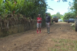 Décès de Félix Combes : le monde agricole en deuil car "le drame aurait pu être évité"