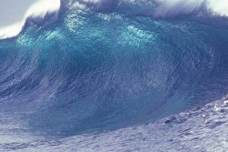 Tsunami dans le Pacifique : La Polynésie française en alerte maximale ainsi que la côte ouest du continent américain