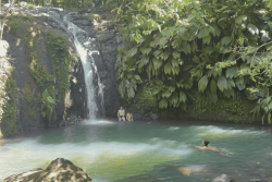 DÉCOUVERTE. Le Saut des Trois Cornes et la cascade Bis, deux joyaux de Sainte-Rose