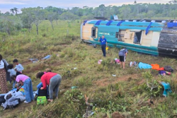 Accident de bus au Brésil : une touriste française risque la paralysie