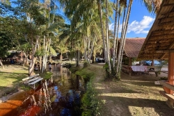 Big Dady Place : un site nature unique en Guyane, né d’une initiative familiale et sans aide publique