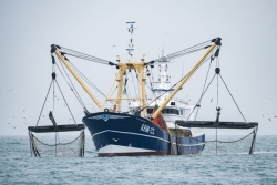 Aires marines protégées : près de la moitié sont illégalement exploitées par des navires de pêche industrielle