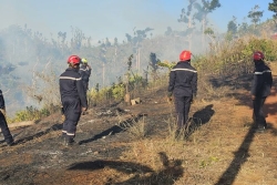 Un incendie a ravagé 30 hectares de végétation à Combani