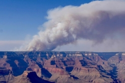 Depuis un mois, le Grand Canyon est la proie d'un gigantesque incendie