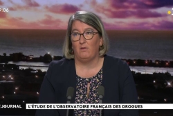 Trafic d'ICE : "Le Pays appelle à davantage de répression, j'appelle aussi à davantage de prévention" déclare la procureure de la République