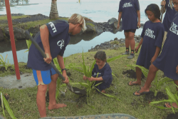 Teahupo'o : les surfeurs protègent leur litorral en plantant des arbres