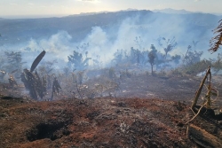 "Je demande à la population d'arrêter les cultures sur brûlis", le Département alerte après l'incendie à la retenue collinaire de Combani