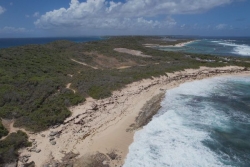 Découverte : les bassins roses des Salines, un paysage de Guadeloupe rare et apprécié