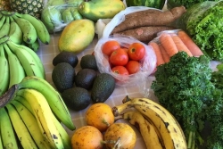 « Zéro risque chlordécone » en Guadeloupe : l'Etat mène des contrôles sur les ventes en bord de route 