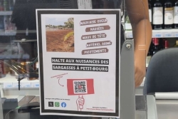 "Halte aux nuisances des sargasses à Petit-Bourg" : une pétition met les élus face à leurs responsabilités