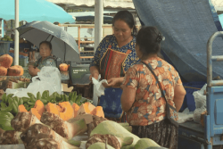 Étude Guyaconso : la Guyane face à des disparités alimentaires et sanitaires majeures