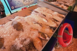 Foire de Bourail 2025. Les pêcheurs pour la première fois de la partie