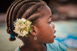 Pourquoi le jasmin est-il au cœur des traditions mahoraises ?