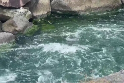 Les bains chauds de Bouillante, en Guadeloupe, un patrimoine naturel à préserver