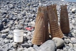 Dans l’Est, tout est prêt pour l’ouverture de la pêche aux bichiques le 1er septembre