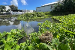 Préoccupés par les inondations fréquentes, les habitants de la Marine à Sainte-Suzanne s'opposent à la construction de 117 logements