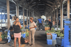 Le marché de gros de Dillon se modernise, 65 000 euros ont été investis