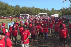 Plus de 4 000 personnes réunies à la Saline pour la 27ème Marche de la Mutualité