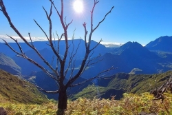 La Réunion : du soleil, quelques nuages et des températures en hausse
