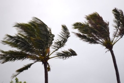 Météo. Six communes du Sud toujours en vigilance jaune vent fort