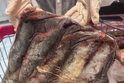 Un magasin Somaco interdit de vendre du poisson pour des risques d'hygiène
