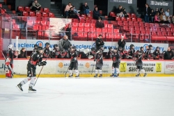 Hockey sur glace : un nouveau défi pour l'entraîneur saint-pierrais Maurad Laamel chez les Gothiques d'Amiens