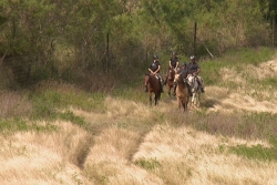 Le cheval comme "vecteur de communication" pour les gendarmes du peloton de surveillance et d'intervention