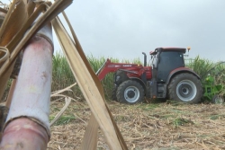 Une nouvelle "coupeuse portée" pour faciliter le travail des planteurs de canne à sucre