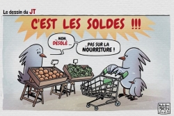 RENDEZ-VOUS. Le dessin de la semaine avec Nicolas Yann Martin : 31 août 2025