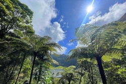 La Réunion : une matinée agréable avant un après-midi plus variable