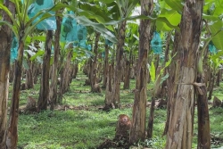 Pesticides : le fonds d’indemnisation en hausse mais encore trop méconnu, alerte Phyto-Victimes