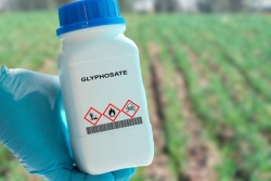 Reconnu responsable de la contamination des sols et des eaux, l'État doit revoir sa copie sur les pesticides en Hexagone et Outre-mer 