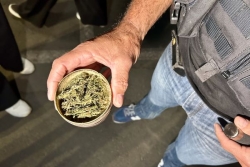 Trafic de drogue : quatre personnes interpellées à la suite d'une opération anti-stups à Saint-Denis