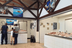 Une halle à marée à Cayenne pour moderniser la pêche en Guyane