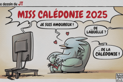 RENDEZ-VOUS. Le dessin de la semaine avec Nicolas Yann Martin : 7 septembre 2025