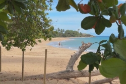 La Perle à Deshaies classée 8e plus belle plage de France