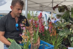 2ème édition du salon "Nou lé local" : une vitrine pour les productions réunionnaises